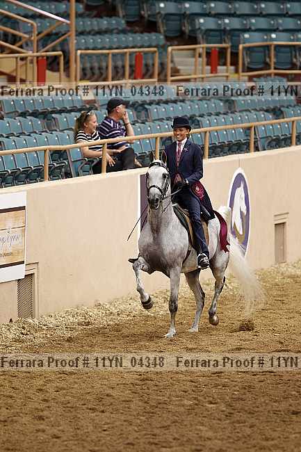 Proof 11yn_04348