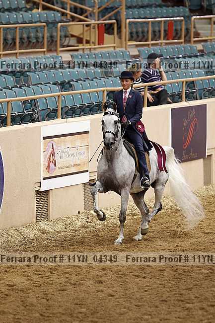 Proof 11yn_04349