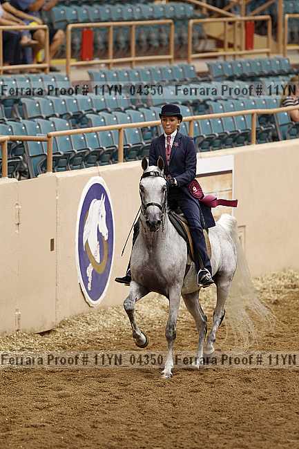 Proof 11yn_04350