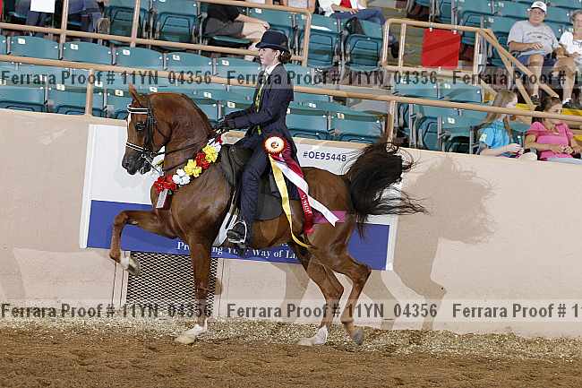 Proof 11yn_04356