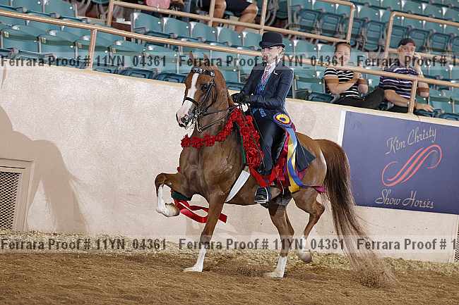 Proof 11yn_04361