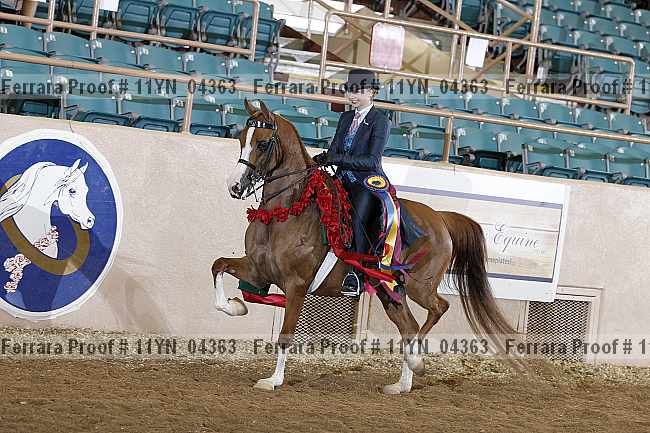Proof 11yn_04363