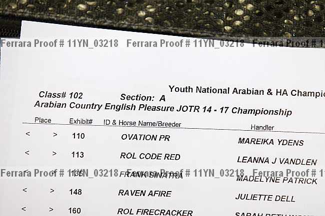 Proof 11yn_03218