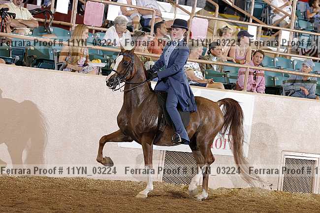 Proof 11yn_03224