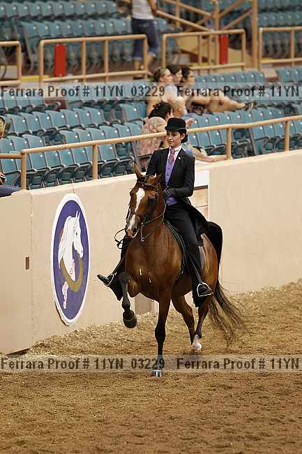 Proof 11yn_03229