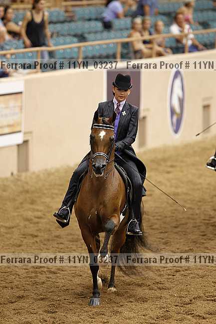 Proof 11yn_03237
