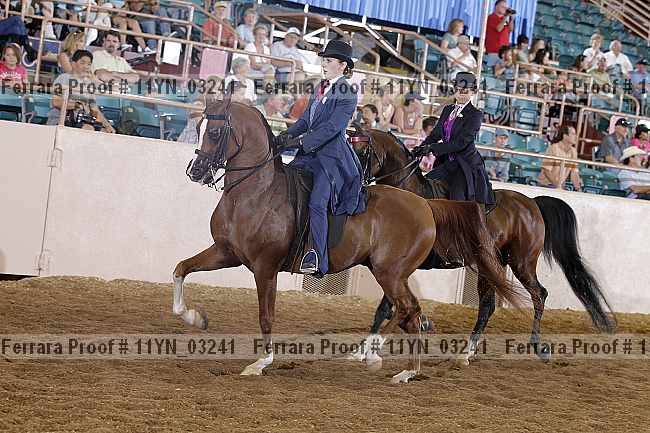 Proof 11yn_03241
