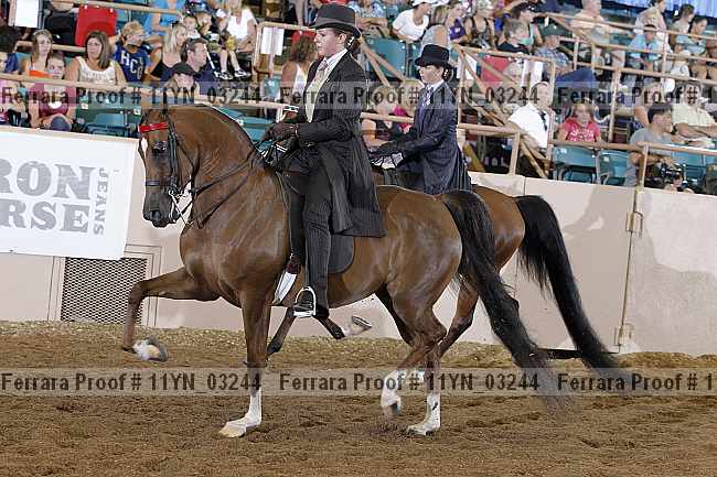 Proof 11yn_03244