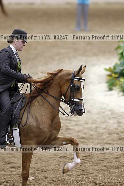Proof 11yn_03247