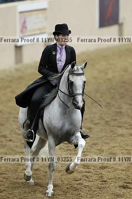 Proof 11yn_03255