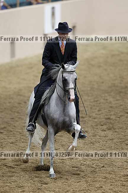 Proof 11yn_03257