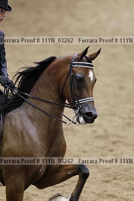 Proof 11yn_03262
