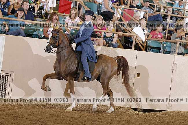 Proof 11yn_03263