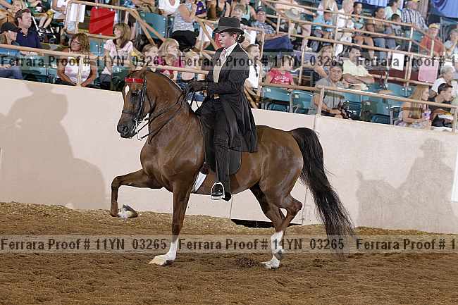 Proof 11yn_03265