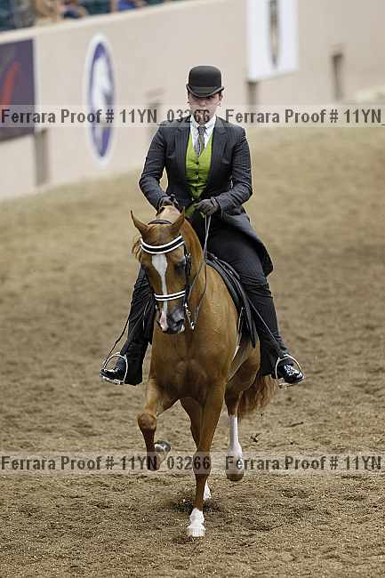 Proof 11yn_03266