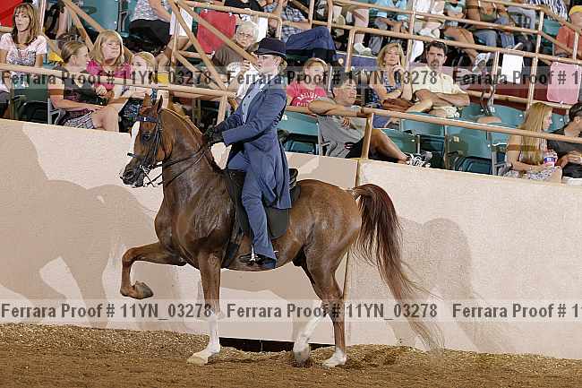 Proof 11yn_03278