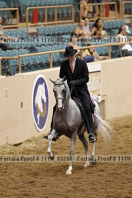 Proof 11yn_03290