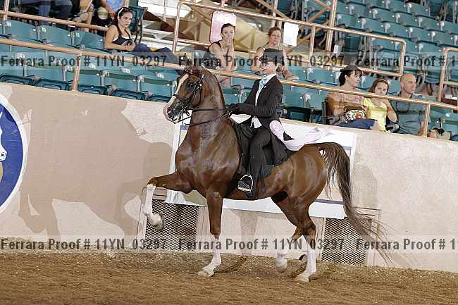 Proof 11yn_03297