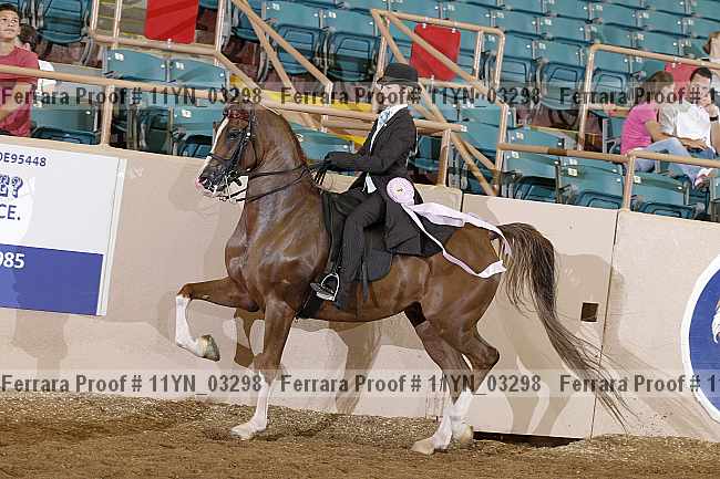 Proof 11yn_03298