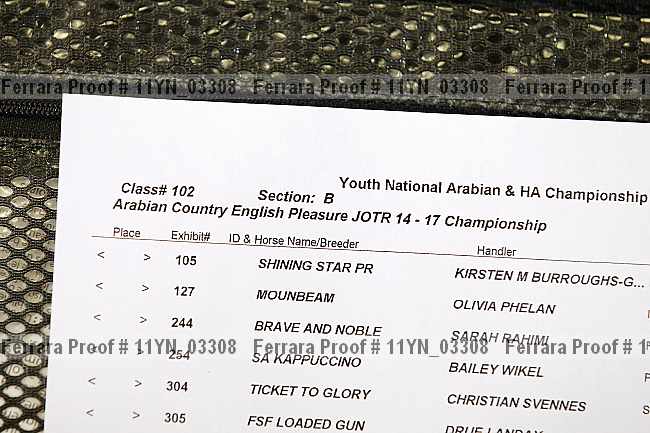 Proof 11yn_03308