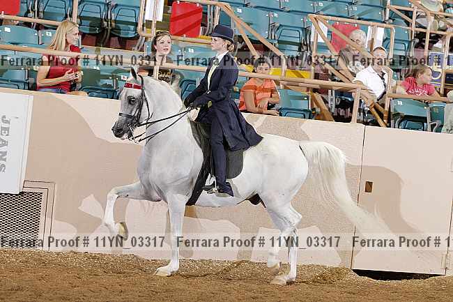 Proof 11yn_03317