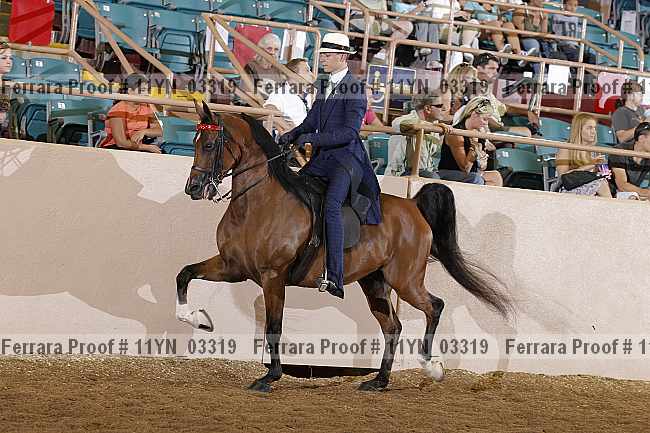 Proof 11yn_03319