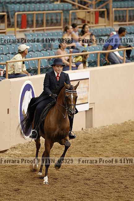 Proof 11yn_03329