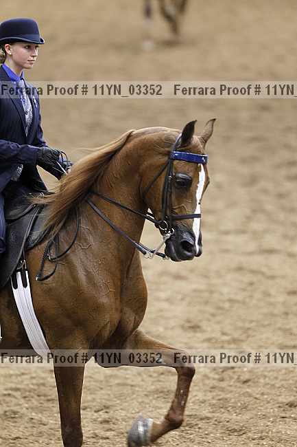 Proof 11yn_03352