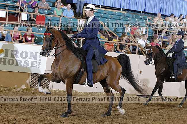 Proof 11yn_03356