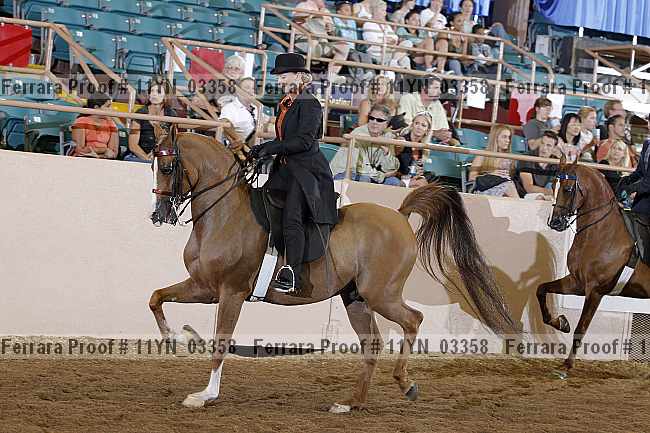 Proof 11yn_03358