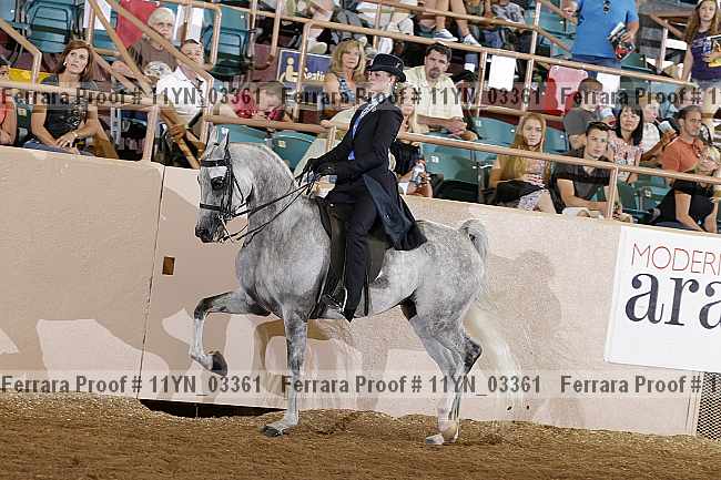 Proof 11yn_03361