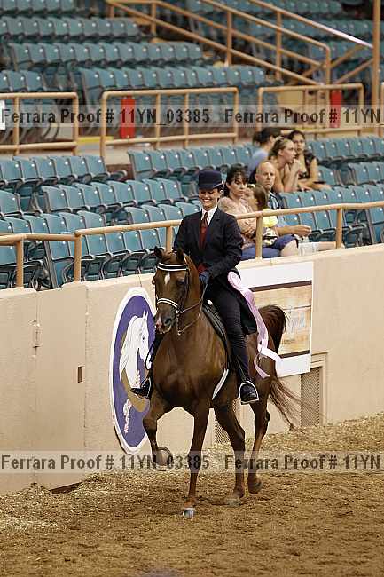 Proof 11yn_03385