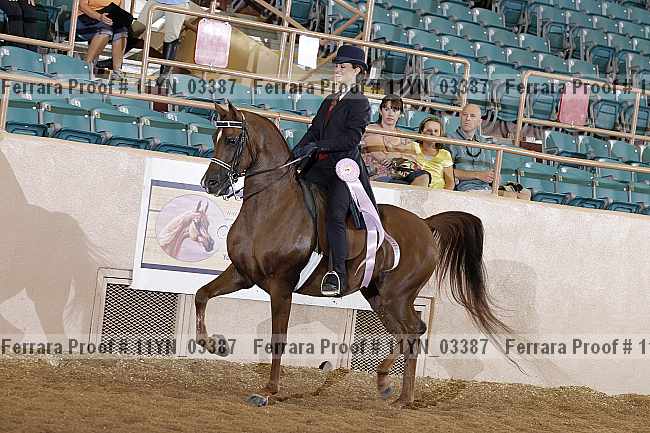 Proof 11yn_03387