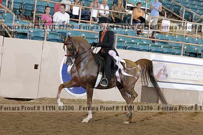 Proof 11yn_03390