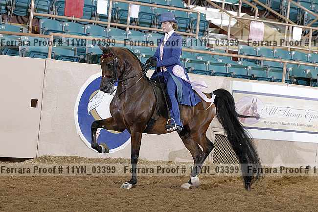 Proof 11yn_03399