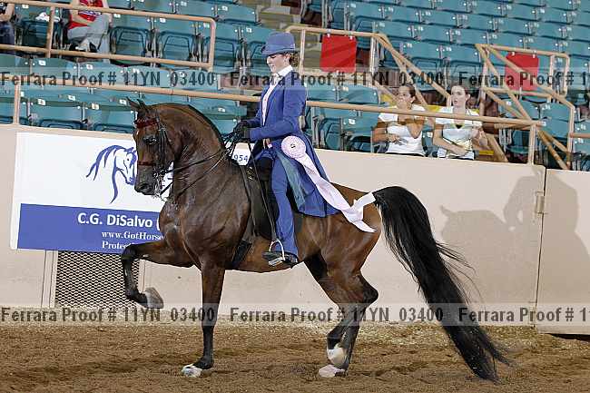 Proof 11yn_03400