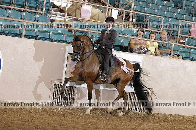 Proof 11yn_03403