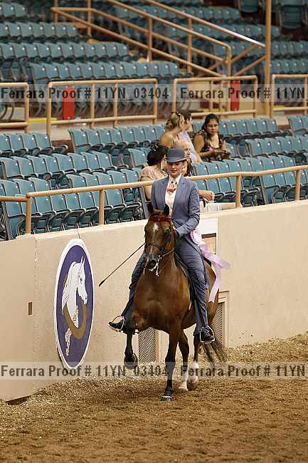 Proof 11yn_03404