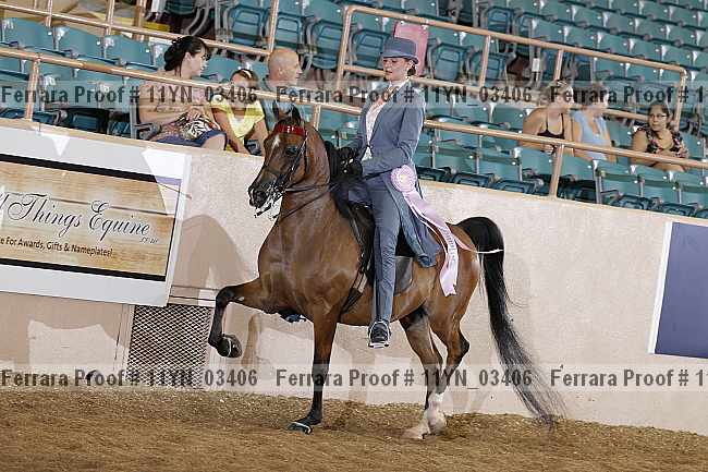 Proof 11yn_03406