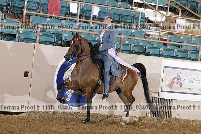 Proof 11yn_03407