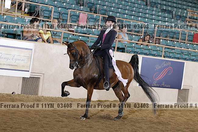 Proof 11yn_03408