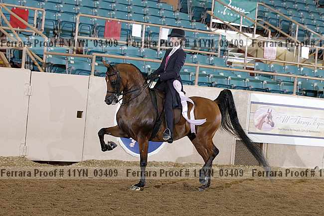 Proof 11yn_03409