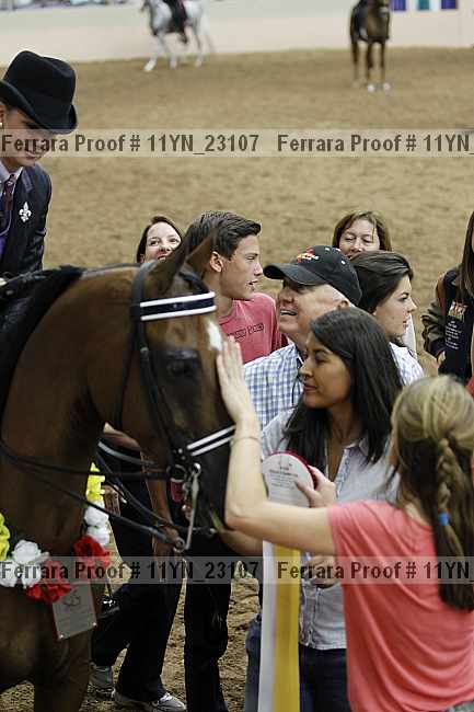Proof 11yn_23107