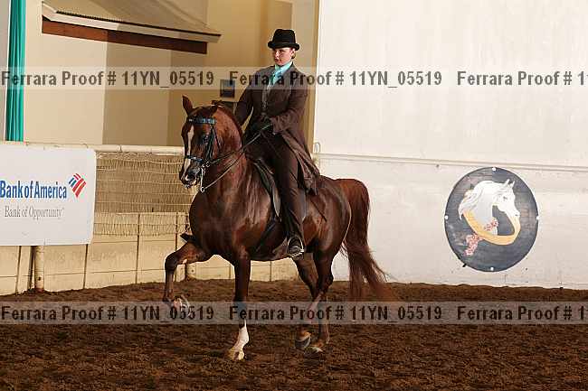 Proof 11yn_05519