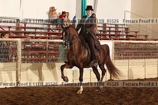 Proof 11yn_05526