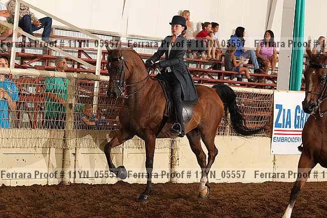 Proof 11yn_05557