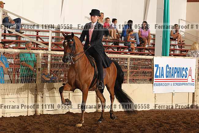 Proof 11yn_05558