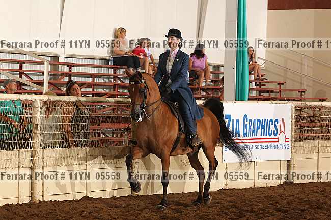 Proof 11yn_05559