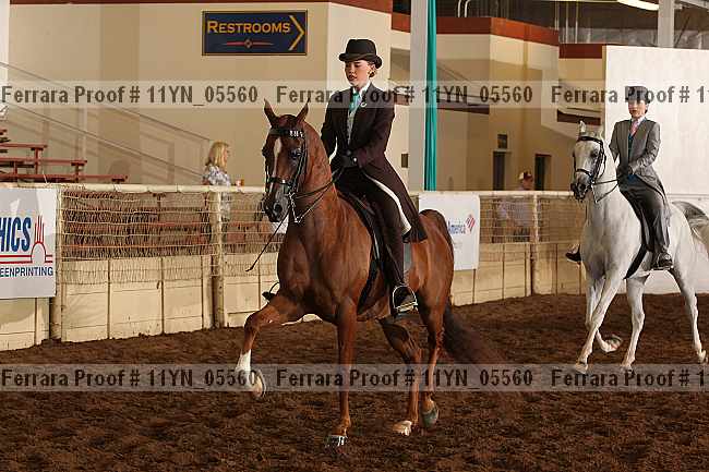 Proof 11yn_05560