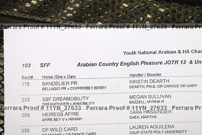 Proof 11yn_27633